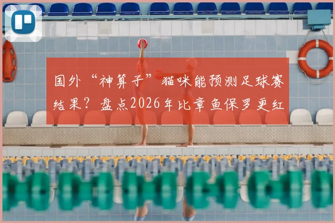 国外“神算子”猫咪能预测足球赛结果？盘点2026年比章鱼保罗更红的动物预言家